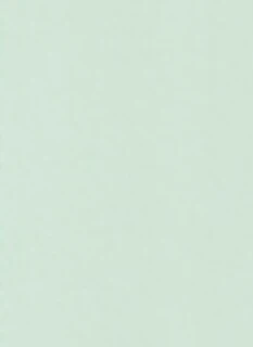 Bavlněné plátno mentolově zelená