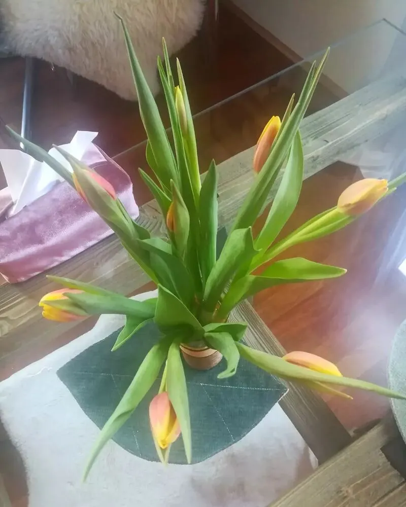 Podložky pod šálky Čajovna 